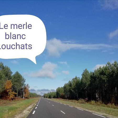 Le Merle Blanc Louchats Exterior foto