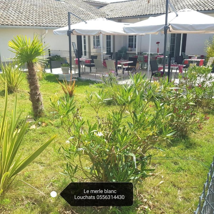 Le Merle Blanc Louchats Exterior foto