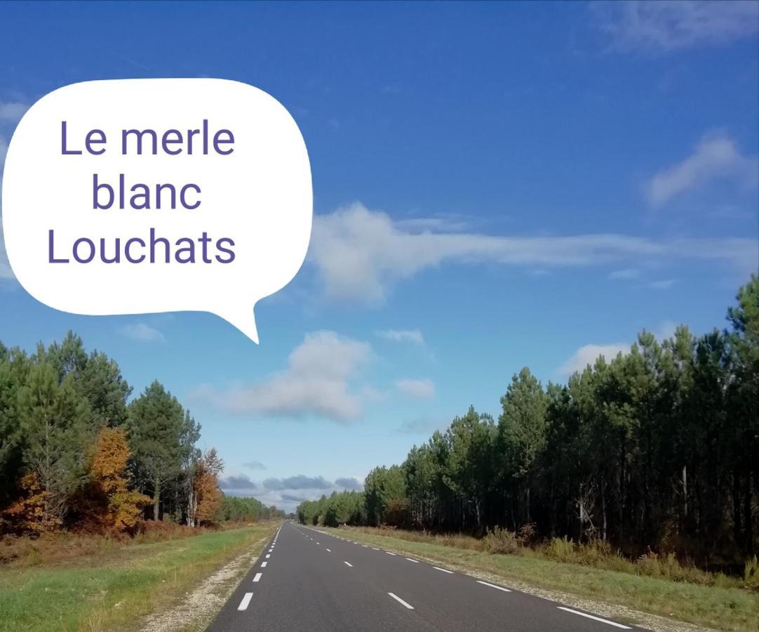 Le Merle Blanc Louchats Exterior foto